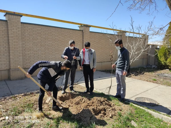 کاشت 50 نهال میوه در محوطه مرکز آموزش عالی شهید میرشاکی 3