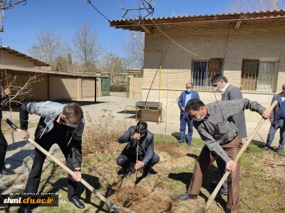 کاشت 50 نهال میوه در محوطه مرکز آموزش عالی شهید میرشاکی