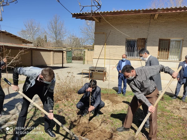 کاشت 50 نهال میوه در محوطه مرکز آموزش عالی شهید میرشاکی 2