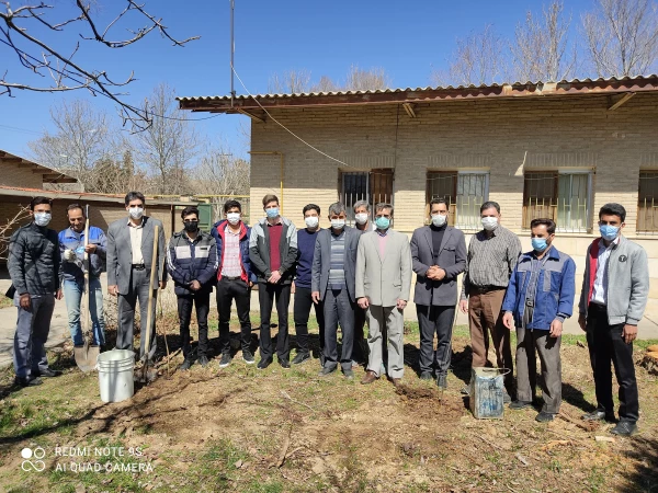 کاشت 50 نهال میوه در محوطه مرکز آموزش عالی شهید میرشاکی 4