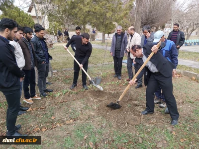 به مناسبت روز درختکاری صورت گرفت