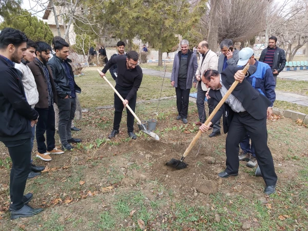 به مناسبت روز درختکاری صورت گرفت 2
