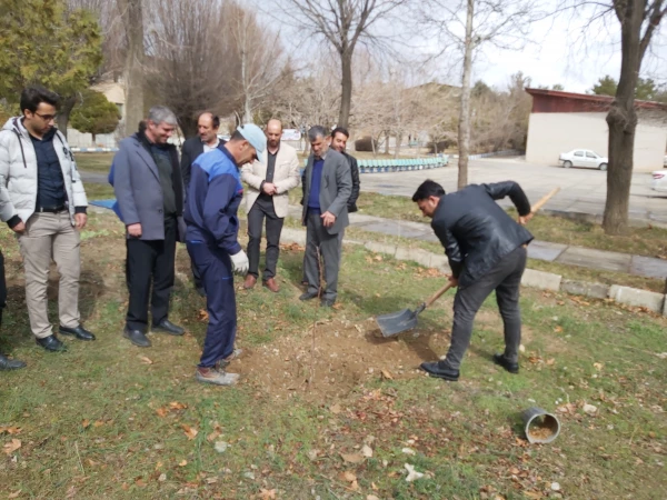 به مناسبت روز درختکاری صورت گرفت 5