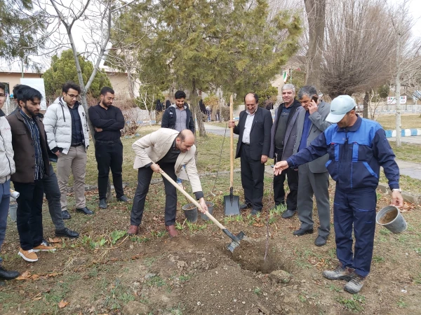 به مناسبت روز درختکاری صورت گرفت 3