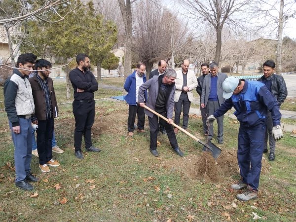 به مناسبت روز درختکاری صورت گرفت 4