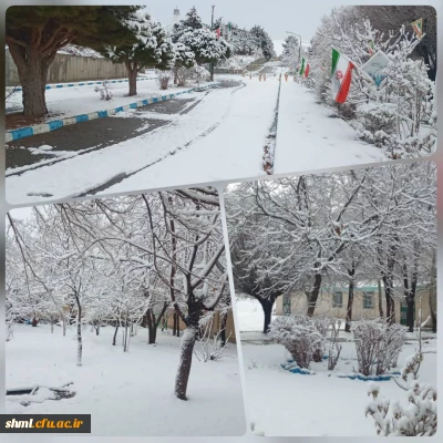 تصاویر مرکز آموزش عالی شهید میرشاکی الیگودرز