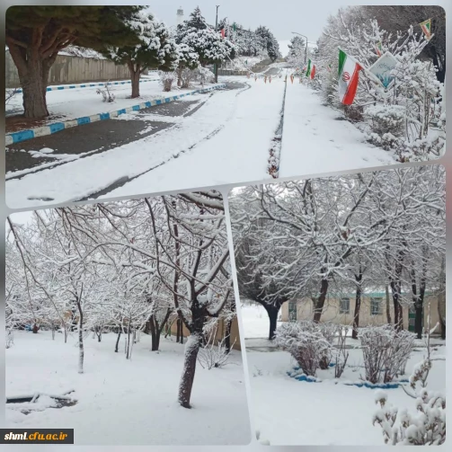 تصاویر مرکز آموزش عالی شهید میرشاکی الیگودرز